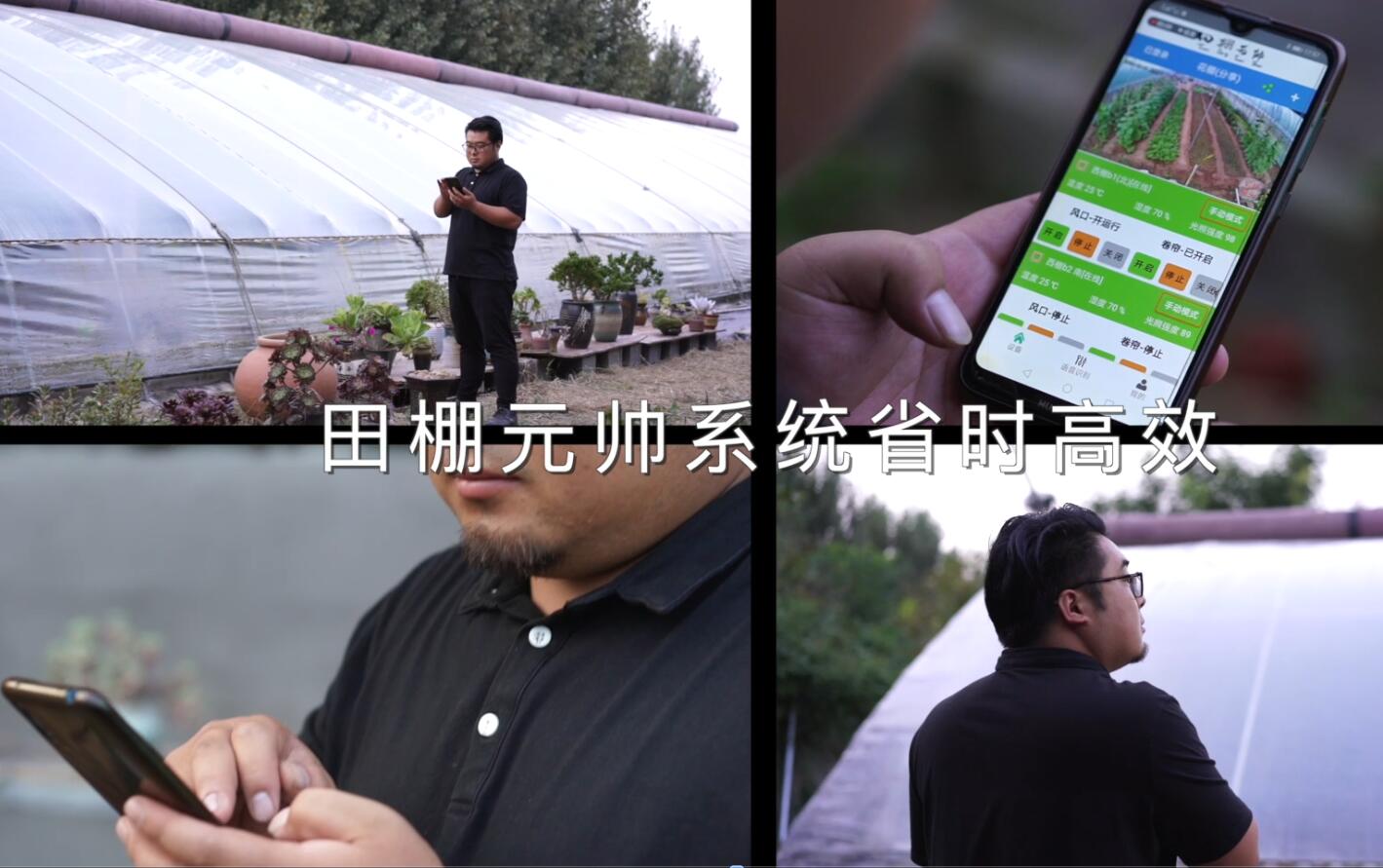溫室大棚卷簾放風一體控制系統